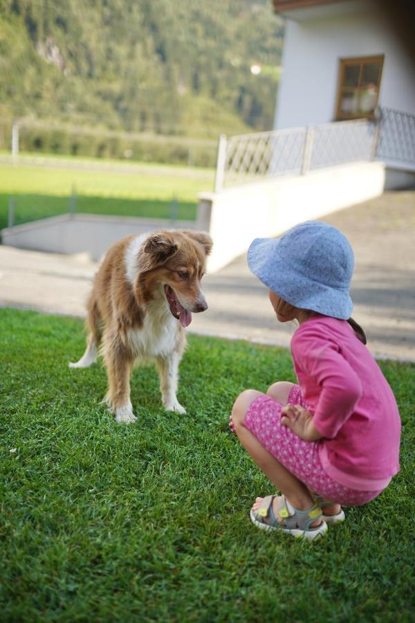 דירות Aschau Im Zillertal Martlerhof מראה חיצוני תמונה