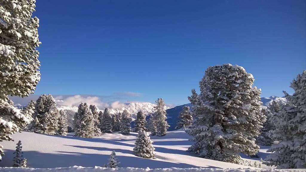 דירות Aschau Im Zillertal Martlerhof מראה חיצוני תמונה
