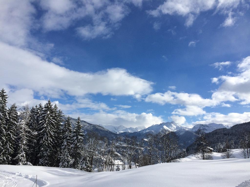 דירות Aschau Im Zillertal Martlerhof מראה חיצוני תמונה