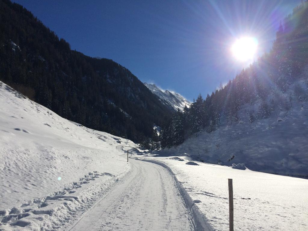 דירות Aschau Im Zillertal Martlerhof מראה חיצוני תמונה