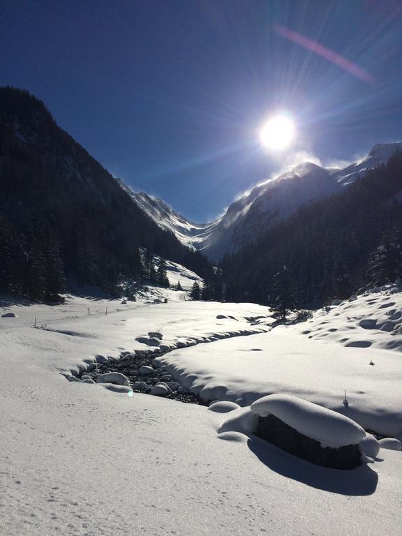 דירות Aschau Im Zillertal Martlerhof מראה חיצוני תמונה